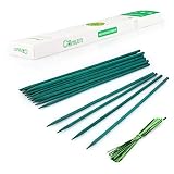 Garsum Green Bamboo Sticks Garden Wood Plant Stakes,Floral Plant Support Wooden,Wooden Sign Posting