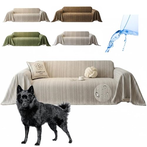 Lifetips XLbp[Li schipperke j \t@[Jo[ k  􂦂 h }`Jo[ 2l| 3l| It IȂ ~ Eh~ LΉ lGʗp iO[j i300180CMj