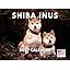 Shiba Inu
