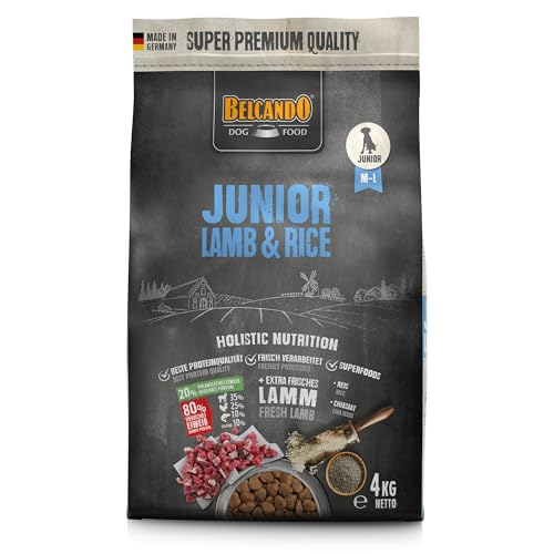 Belcando Junior Lamb & Rice [4 kg] Hundefutter | Trockenfutter für Junghunde | Alleinfuttermittel für Junghunde ab 4 Monaten