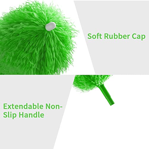 Spolverino per Polvere BIGLUFU, 2 Lavabile