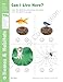 Evan-Moor Skill Sharpeners Science Workbook, PreK, Physical, Life, and Earth Science, Songs, Activities, Colors, Shapes, Sizes, Texture, Wheels, Sounds, Motion, Animals, Plants, Weather, Homeschool
