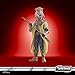 STAR WARS The Vintage Collection Saelt-Marae Return of The Jedi 3.75-Inch Collectible Action Figures, Ages 4 and Up (F7336)