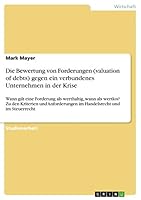 Die Bewertung Von Forderungen (Valuation of Debts) Gegen Ein Verbundenes Unternehmen in Der Krise 3656898014 Book Cover
