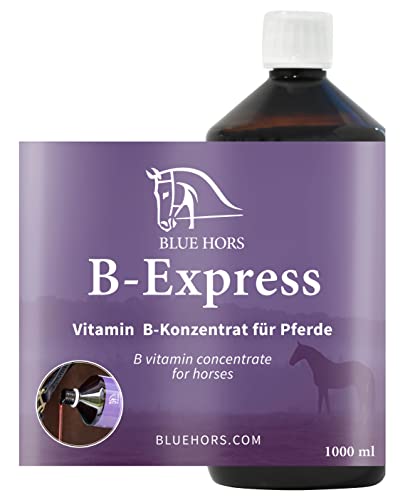 Blue Hors B-Express Original | Vitamin B für Pferde; schmackhafter Sirup für gestresste, ermüdete und nervöse Pferde | Ergänzungsfuttermittel im Fellwechsel oder Futterwechsel |1 Liter