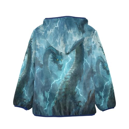 Dragons From Stormy Skies Toddler Fleece Jacket Girl Boys Hooded Fleece Jacket Coat Warm Outwear Zip-up 3-10T2