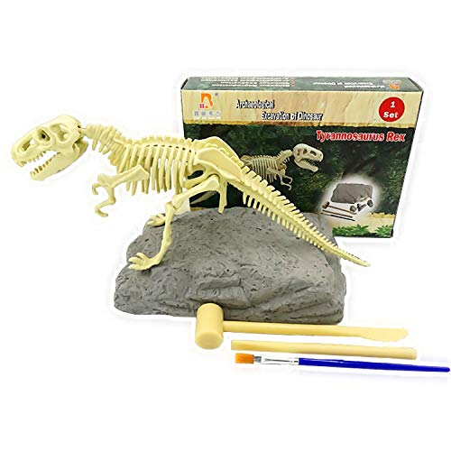JCT Dinosaur Dig Toy Dinosaur Excavation Kit for Kids, Bones Fossil of T Rex 3D Skeleton Dinosaur Excavation Kit Tyrannosaurus Kidâ€™s Science Education DIY Toys Gift (T Rex)
