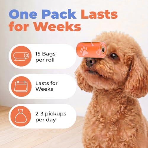 Image of Best Pet Supplies Dog Poop Bags for Waste Refuse Cleanup, Doggy Roll Replacements for Outdoor Puppy Walking and Travel, Leak Proof and Tear Resistant, Thick Plastic - Orange, 240 Bags