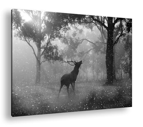 Tableau cerf deyoli sous la neige avec cadre en bois véritable et impression haut de gamme
