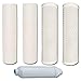 Watts 5-PK-4SV Premier 1-Year 4-Stage Reverse Osmosis Replacement Filter Kit, 5-Pack