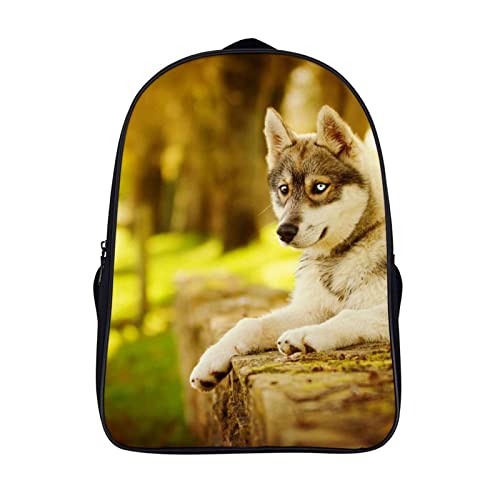 Mochila escolar de husky para niños y niñas con diseño 3D de 40x28x16cm