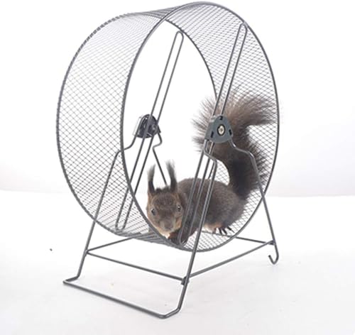 v TCgzC[ pߋ vňS S[fnX^[ nX^[{[ ^s ƂȂ̃ggnlY~X̗ւĂȂ (25cm,ubN)