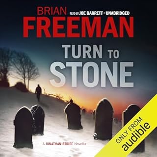 Turn to Stone Audiolibro Por Brian Freeman arte de portada