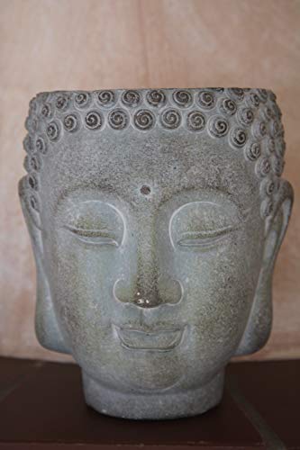 Miljögarden Buste de plante Bouddha petit H 17 cm Ciment Buste de plante Bouddha Buste par exemple Plantation