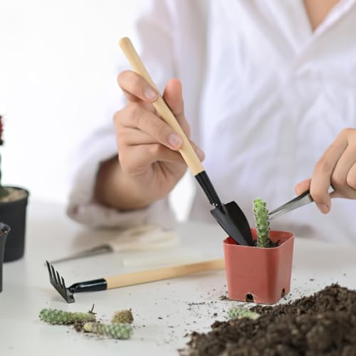 Set de 6 mini herramientas de jardinería DOITOOL miniatura 3