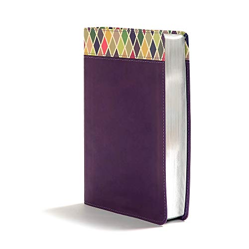 Image of CSB Rainbow Study Bible, Purple Leather Touch