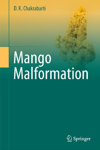 Mango Malformation view 2
