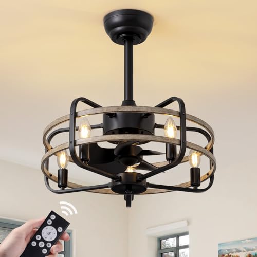 NOXARTE 20 Inch Caged Ceiling Fan with Light and Remote,
