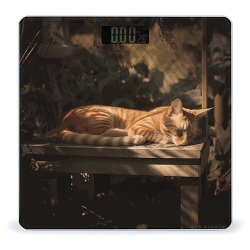 Báscula Digital de Baño Orange Cat Sleeping miniatura 1