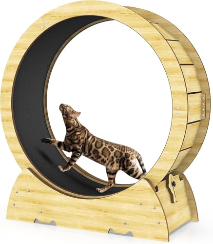 Cat Exercise Wheel for Indoor Cats