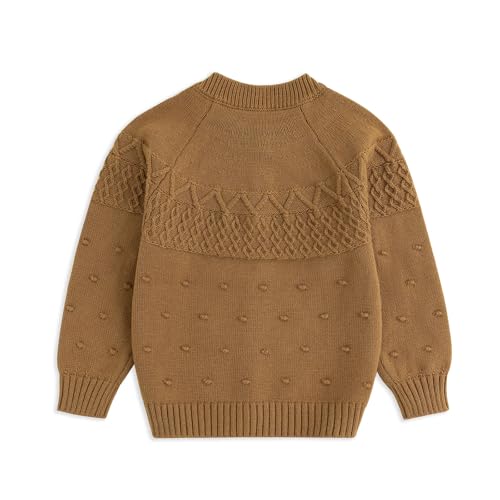 Image of Simplee kids Baby Sweater Toddler Girls Cardigan Sweater Embroidered Strawberry Knit Sweater