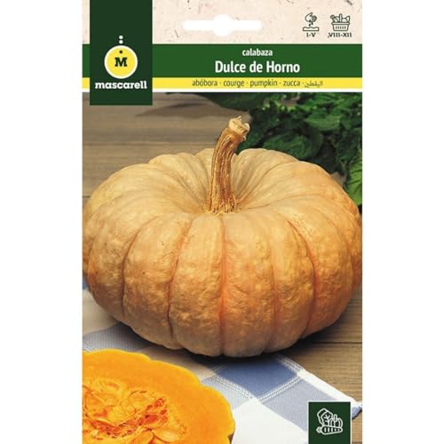 Mascarell Semillas, CALABAZA, Semillas Huerto, CALABAZA DULCE DE HORNO TOTANERA, Crea tu Propio Huerto Urbano y Cultivo en Casa, Plantas Hortícolas, 4 Gramos