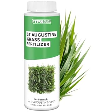 best lawn fertilizer for st augustine grass