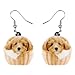 AdronQ®  Canasta de Dibujos Animados de acrílico Pendientes de Perro de caniche de Peluche Cuelga caída Joyería Animal Linda para Mujeres Niñas Adolescentes