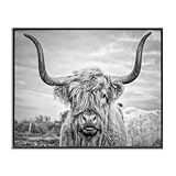 Stupell Industries Black and White Highland Cow Photograph Framed Giclee Art Design By Joe Reynolds, 16.00' x 20.00'