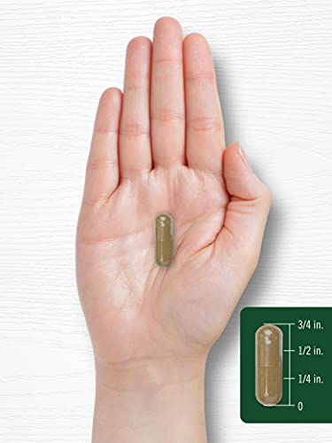 Carlyle Dandelion Root Capsules 1800Mg | 300 Count | Non-Gmo, Gluten Free Supplement #TOP6