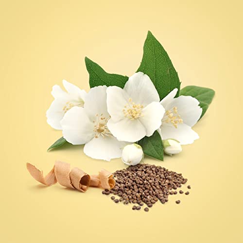 Miniatura 4 de CALVIN KLEIN Beauty Eau de Parfum para mujer |Fragancia femenina floral con notas de jazmín y madera de cedro | Larga duración | 100ml