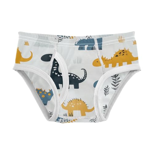 Wusikd Dinosaurs Boys' Underwear Cotton Leaves Boys Briefs Soft Toddler Underwear 2T