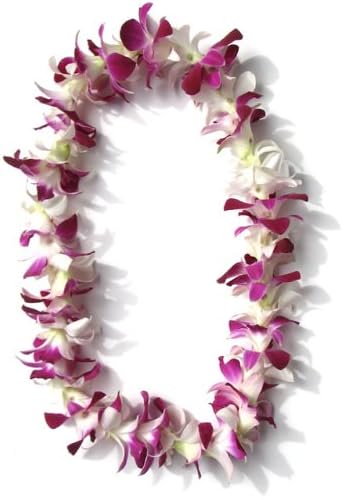 Hawaiian Lei - Fresh Single Strand Orchid Lei - White and Purple