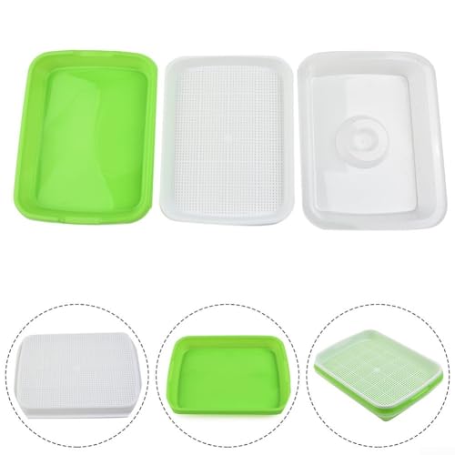 Bandeja de germinación saludable para germinar pasto de trigo, rábanos y soja