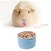 POPETPOP Small Animal Feeding Bowl Box Ceramic Multi-use for Hamsters Rabbits Easy to Assemble