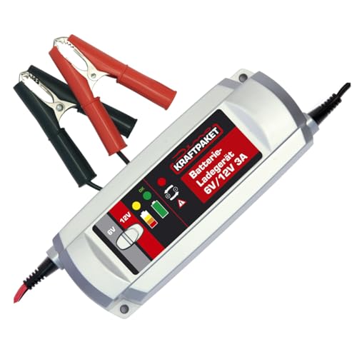 LVYUAN - Cargador De Batería Inteligente De 20 A, 12 V (5/10/20 A) Y 24