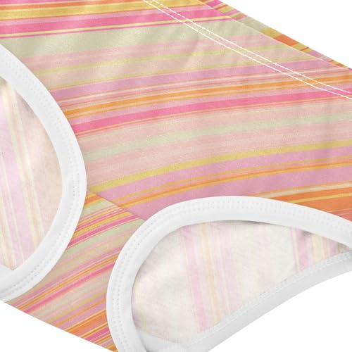 Orange Stripes Toddler Girls's Underwear 2T 202c18904