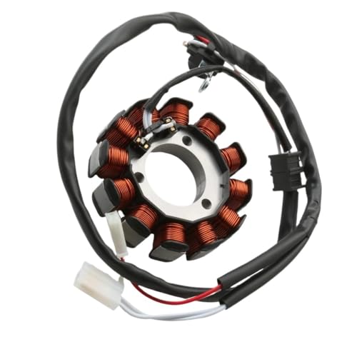Bobine magnéto stator scooter adapté for Xm Ev 300cc Xm250