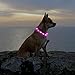 HIGO LED Dog Collar, Silicone Lightweight Light Up Dog Collars, USB Rechargeable LED Dog Necklace Light for Your Dogs Cats Glow in The Dark (Pink-Silicone)