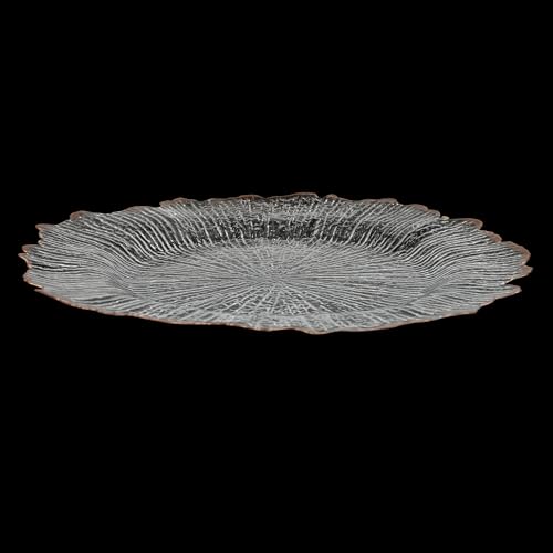 25 platos cargadores transparentes acrílico 12.6 pulgadas miniatura 4