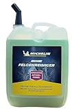 MICHELIN EXPERT Felgenreiniger 5l Kanister Felgenpflege Für Alle Felgenarten Säurefreie Reinigung Mit Farbindikator | Felgenreinigungsmittel 5000 ml Mit Aktiv Gel | Made In Germany