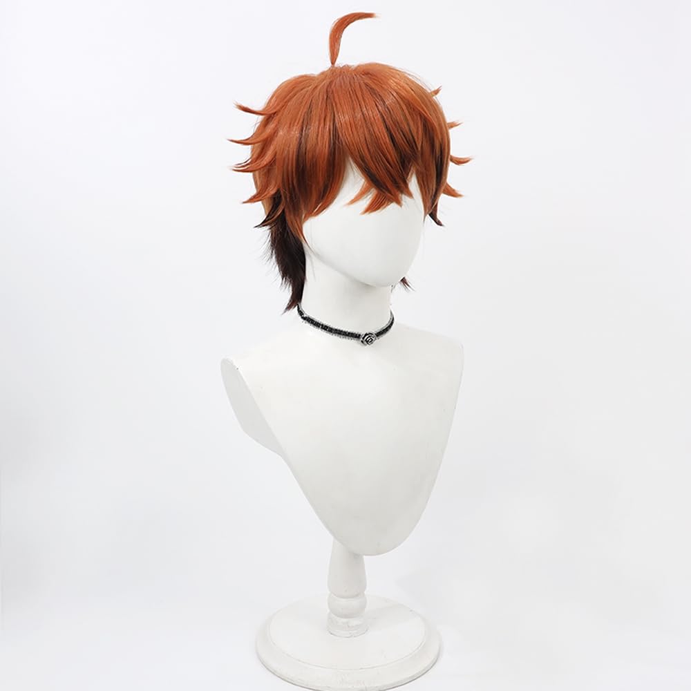 Amazon.co.jp: コスプレウィッグ 北見遊征 ブラウン ブラック 耐熱