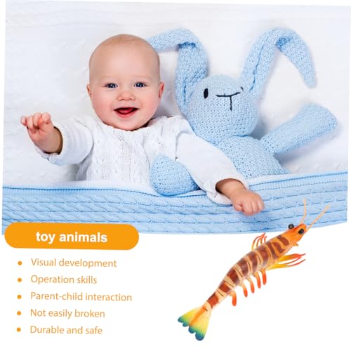 Toyvian Deko-Garnele Modell wie echt – Detailgetreue Simulation Meeresfrüchte Pädagogisches Naturkunde Spielzeug für Schule Kindergarten Robustes Kunststoff Tierfigur Set für Sammler Meeres-Deko