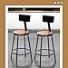 OEF Furnishings OEF6224B-10/2 Premium Commercial-Grade All-Purpose Round Stool with Backrest (24-inch Height, Black Frame, Masonite Wood Seat, 2-Pack)