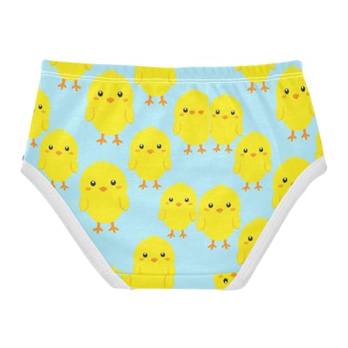 Joisal Cotton Girls Underwear Toddler Cute Yellow Chick Blue Panties for Girl Florals Underpants Briefs 2t2