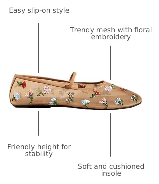 Image of Mesh Ballet Flats for Women Embroidered Floral Mary Jane Flats Comfortable Casual Daily Dress Ballerina Shoes