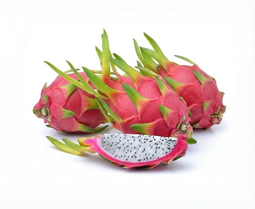 Fresh Dragon Fruit (Set of 6) by Tropical Importers