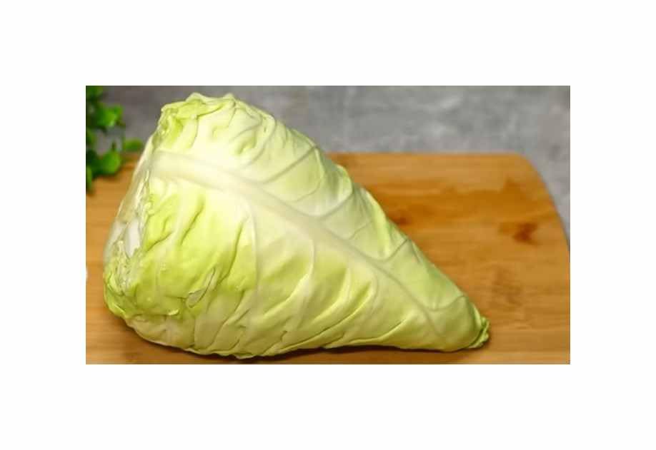 Pcs - 110x Chou Pointu Filderkraut Brassique Oleracea Légumes Plantes - Graines K515 - Seeds & Plants Shop by Ipsa