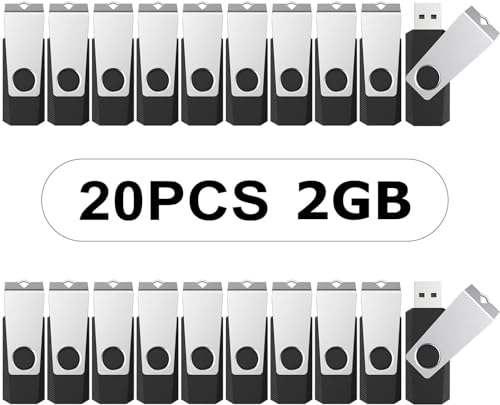 Clés USB 2.0 pivotantes pack de 20 de 2 Go noir pour archivage de données