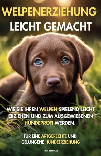 Welpenerziehung leicht gemacht: Wie Sie Ihren Welpen spielend leicht erziehen und zum ausgewiesenen Hundeprofi werden. Für eine artgerechte und ... Einfache Anleitungen für Anfänger)